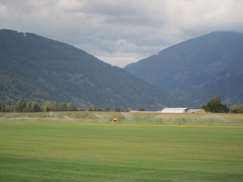 Anderson Sod Farm